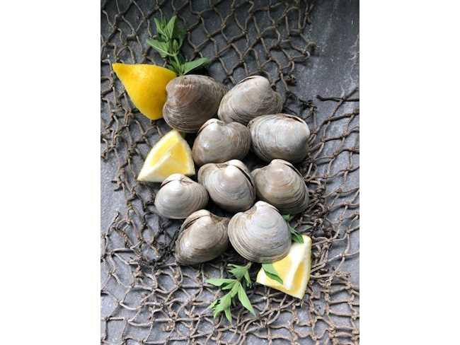  Littleneck Clams (1 ½